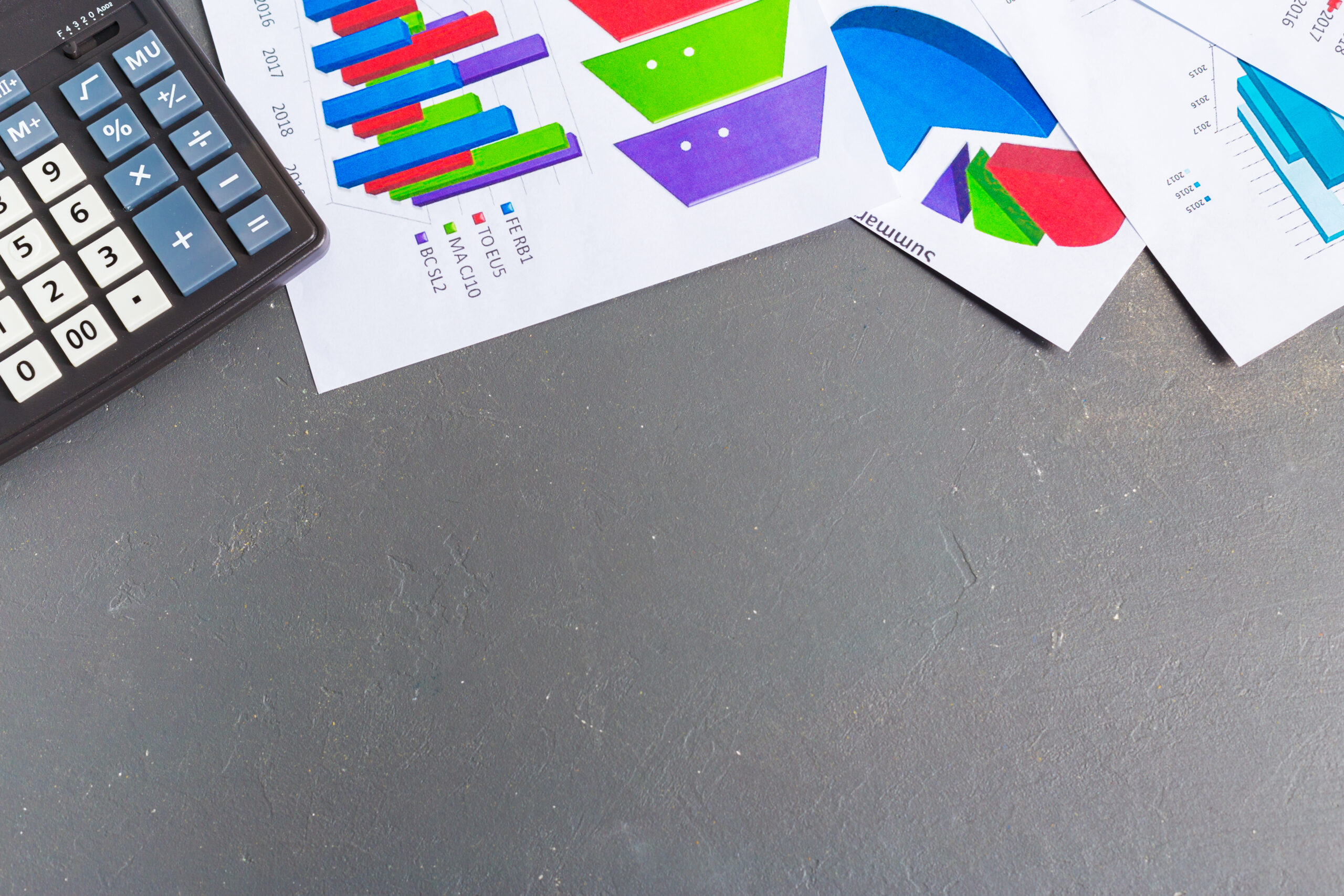 Budget e Controllo di Gestione